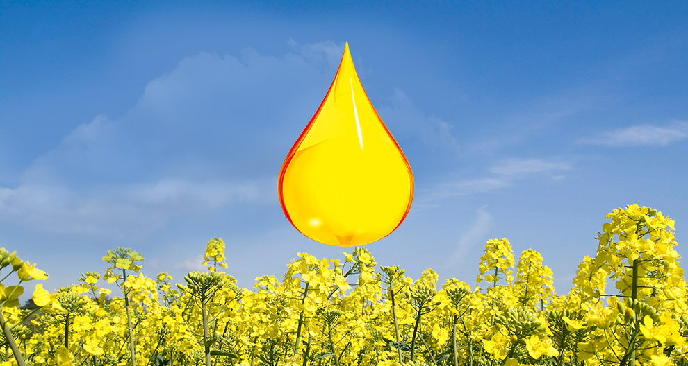 A large, vibrant yellow droplet hovers above a field of yellow flowers under a blue sky.