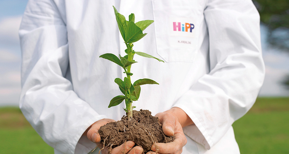 A person in a white lab coat holds a young plant with soil and roots.